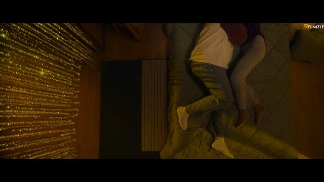 Kocasının Şişman Kuzeni ve Olgun Kadın Konulu Kore Seks Filmi izle