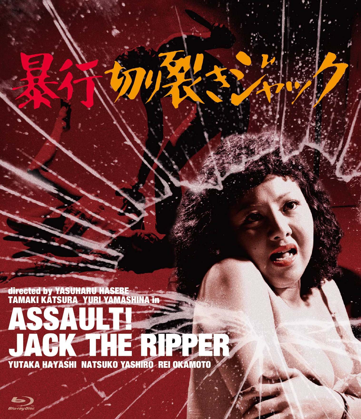 Bôkô Kirisaki Jakku +18 Japon Erotik Filmi